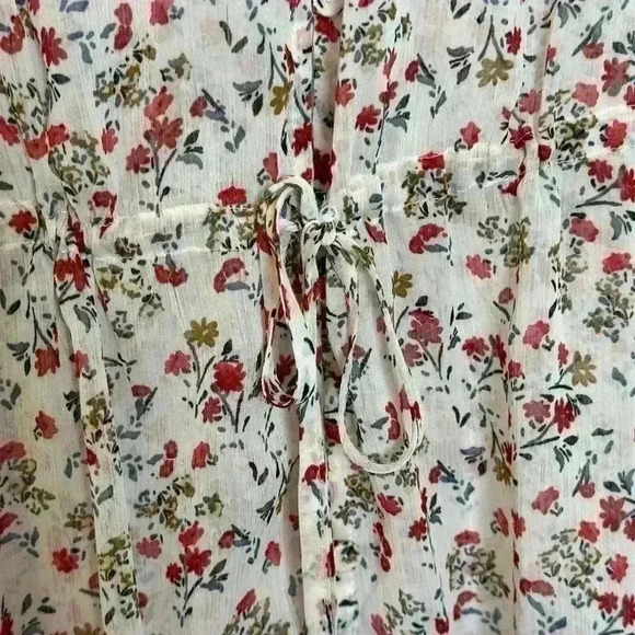 DR2 Sheer Long Maxi Flowered Dress (Size Small) - Picture 3 of 11